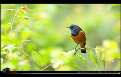 201205131307349988.jpg