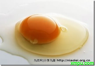 2012051313395115571.jpg