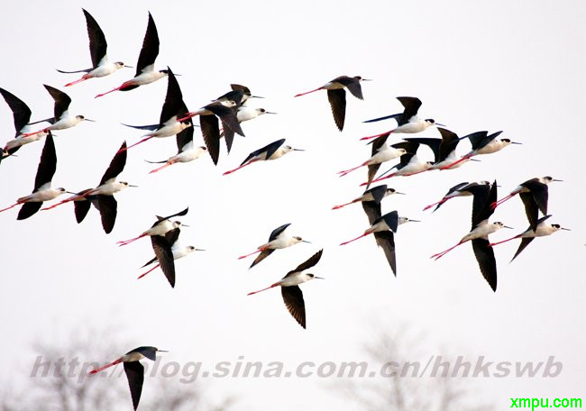 201205131516173850.jpg