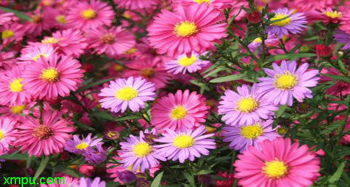 201205131300128983.jpg