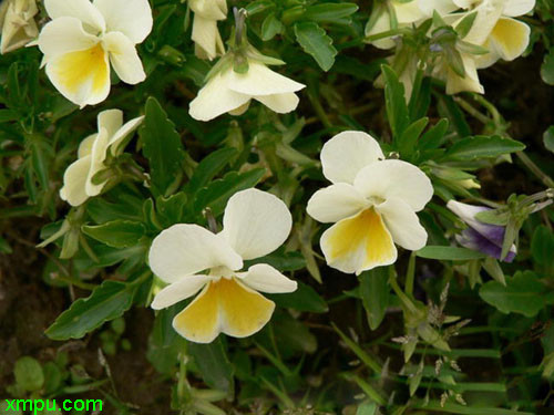 201205131304009551.jpg