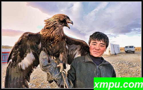 鹰和猎人的儿子