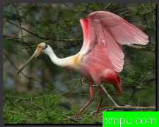 著名摄影大师罗尼加伯特[美国]摄影系列之【四】