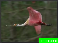 著名摄影大师罗尼加伯特[美国]摄影系列之【四】