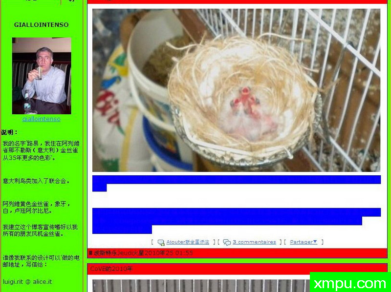 金丝雀培育大师--路易【意大利】图片系列之【一】