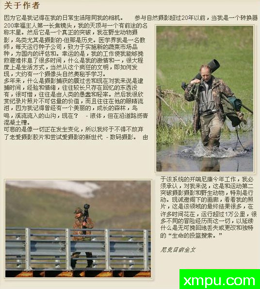 海雀[帕芬]---野外摄影大师尼克【波兰】摄影系列