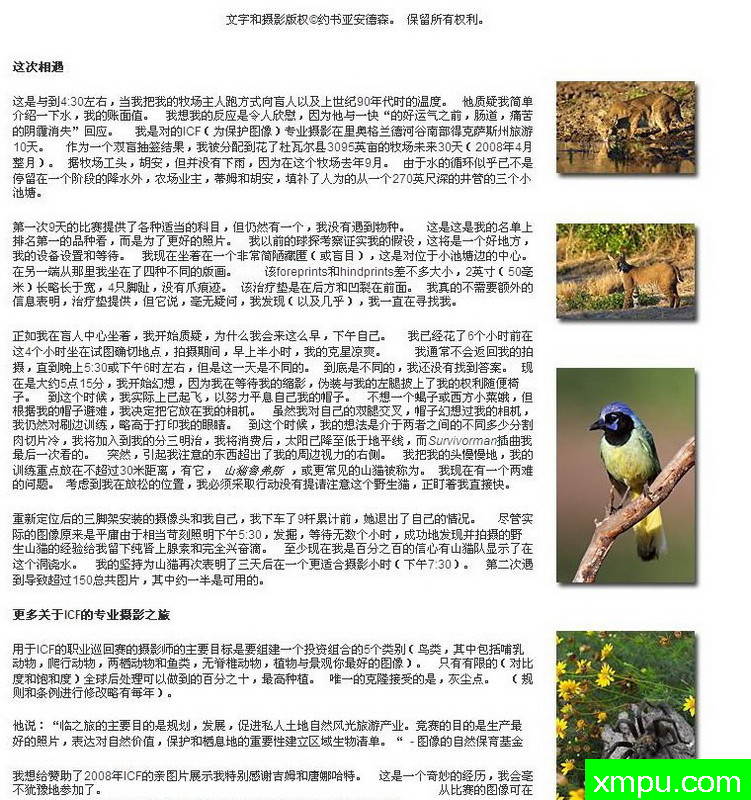 北鹞---自然摄影师安德森自然和野生动物摄影