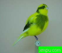 金丝雀大赛--第十四ORNITOL&Ograve;GIC作者竞争特莱斯去l