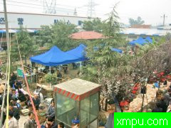 成都鸟市--自然摄影师王晓瑜摄影[打开音箱-配曲自动播放]