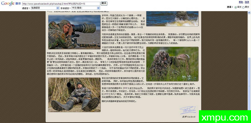 角鸊鷉---大自然的摄影师保罗（ZPFP）波兰协会会员作品系