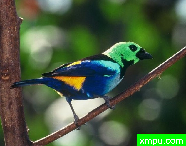 七彩画家-[阿拉戈斯沿岸国家]摄影Stephen琼斯