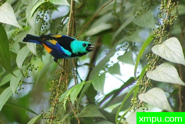 七彩画家-[阿拉戈斯沿岸国家]摄影Stephen琼斯