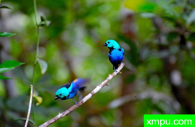 七彩画家-[阿拉戈斯沿岸国家]摄影Stephen琼斯