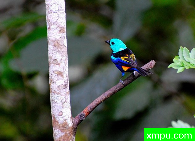 七彩画家-[阿拉戈斯沿岸国家]摄影Stephen琼斯