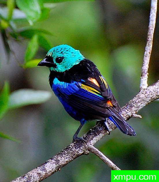 七彩画家-[阿拉戈斯沿岸国家]摄影Stephen琼斯