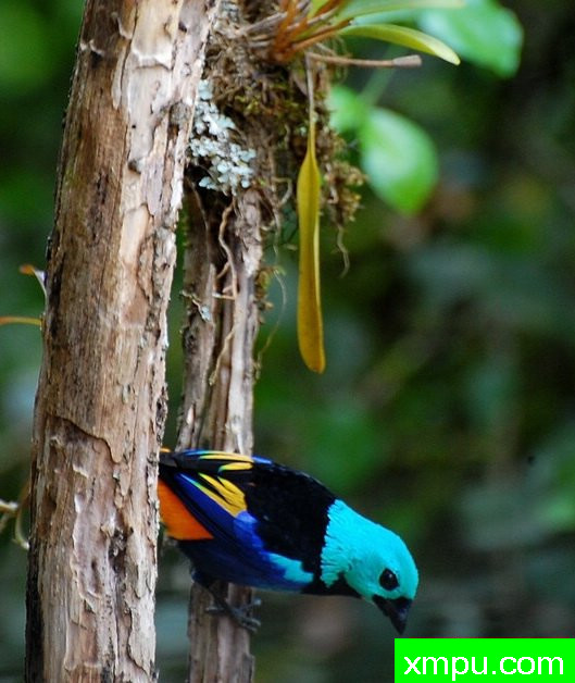 七彩画家-[阿拉戈斯沿岸国家]摄影Stephen琼斯