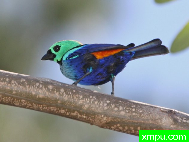 七彩画家-[阿拉戈斯沿岸国家]摄影Stephen琼斯