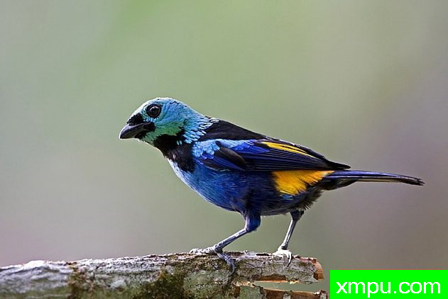 七彩画家-[阿拉戈斯沿岸国家]摄影Stephen琼斯