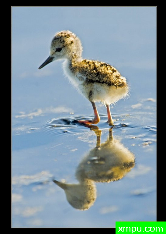 它只是个孩子---摄影：桑迪理查兹