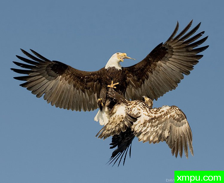 争夺空间---著名摄影师：大卫亨明斯摄影