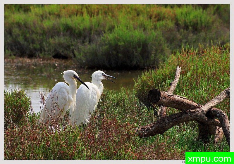 家，甜蜜的家  ---摄影师 保罗德Faveri特摄影