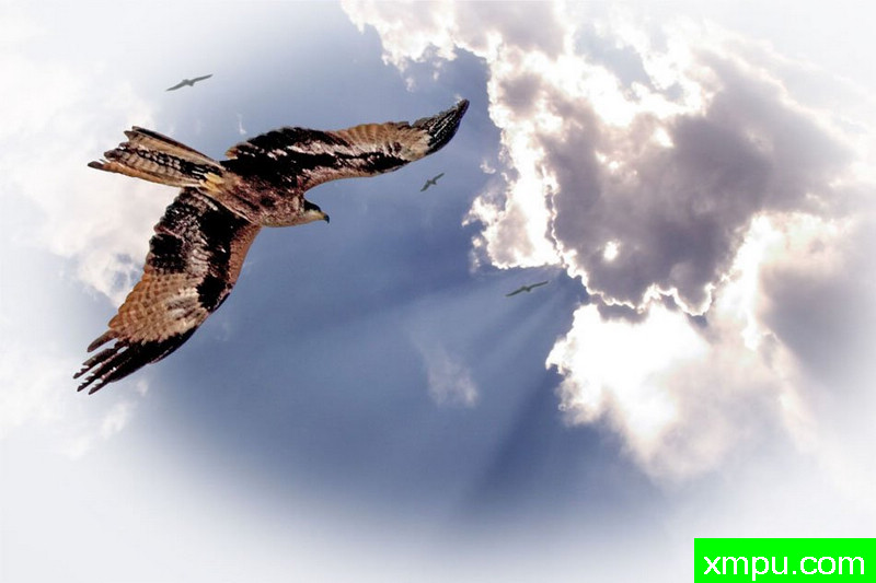 生命的天空[巴基斯坦]--著名摄影师： 穆贾希德Awais摄影