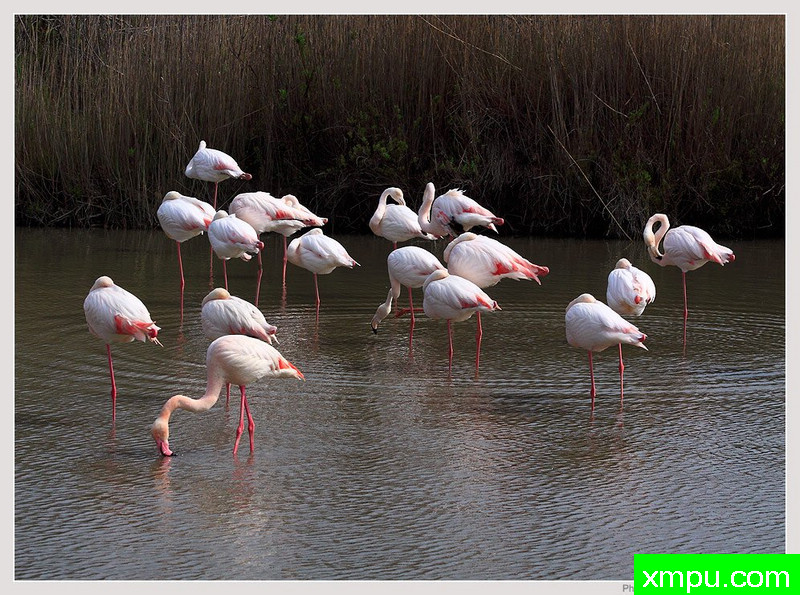 类聚---摄影师：保罗德Faveri特摄影