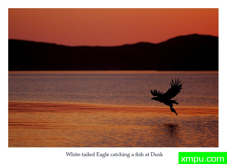 晚餐---摄影师： 丹尼绿色摄影