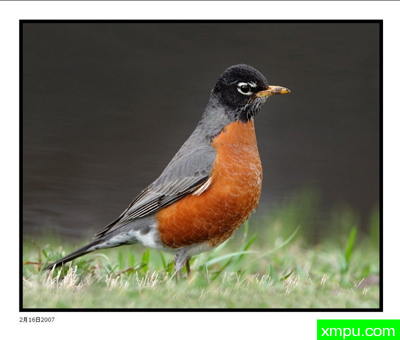 罗宾---著师摄影师：大卫肖摄影