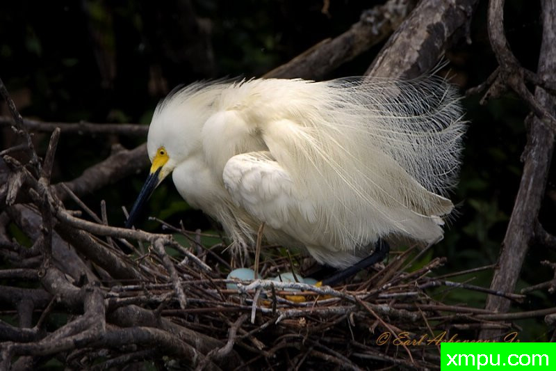 “母亲的爱” ” ---著名摄影师：归厄尔Arboneaux摄影