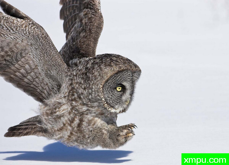 起落架下--著名摄影师：大卫亨明斯摄影