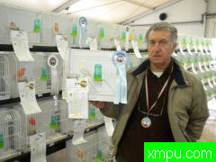 金丝雀意大利锦标赛[打开音箱-配曲自动播放]