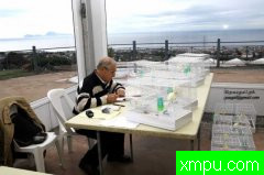 金丝雀意大利锦标赛[打开音箱-配曲自动播放]