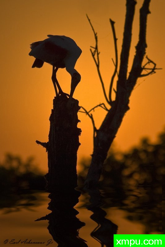 晨祷---著名摄影师：归厄尔Arboneaux摄影[美国]