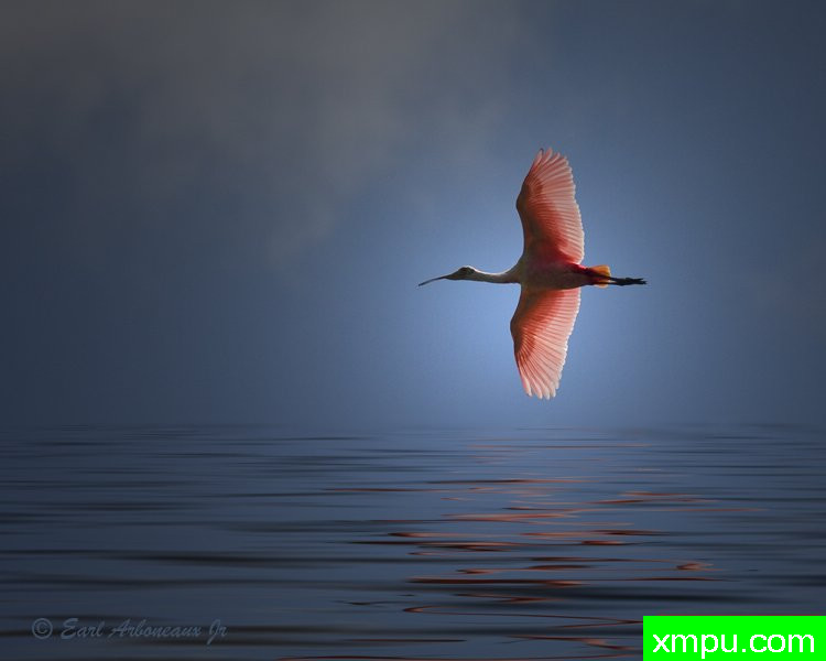 还乡--著名摄影师：归厄尔Arboneaux摄影[美国]