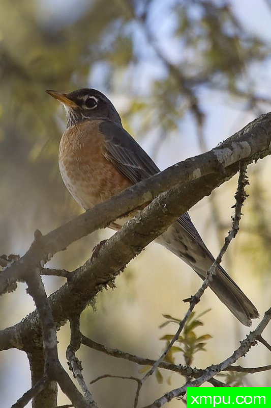 乘凉 ---著名摄影师：归厄尔Arboneaux摄影[美国]