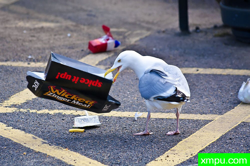 辣妹吧！---著名摄影师：马里乌什Szymaszek摄影