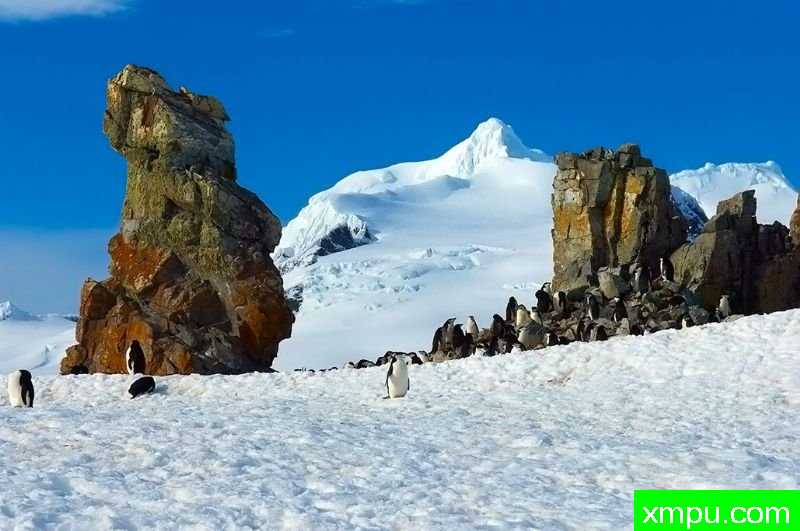 北极企鹅---摄影师：乔治卡兹玛瑞克摄影