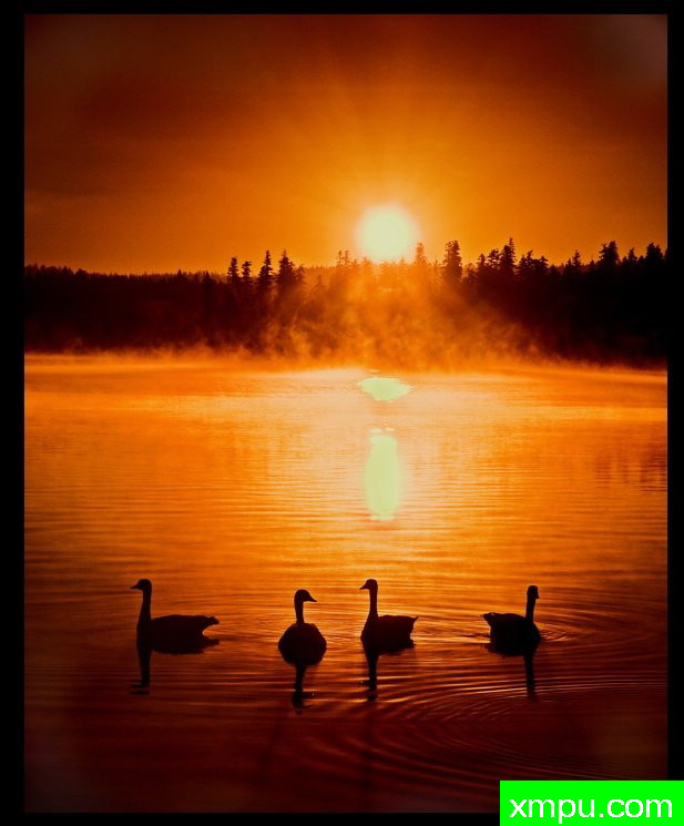 黎明梦 --摄影师：拉里安德烈亚森摄影[美国]