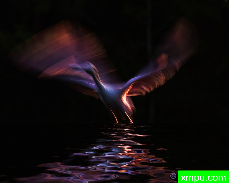 粉红色的闪光---著名摄影师：归厄尔Arboneaux摄影[美国]