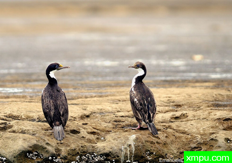 Piramides - 半岛巴尔德斯 [波多黎各]--摄影师：李玛诺卡斯特罗