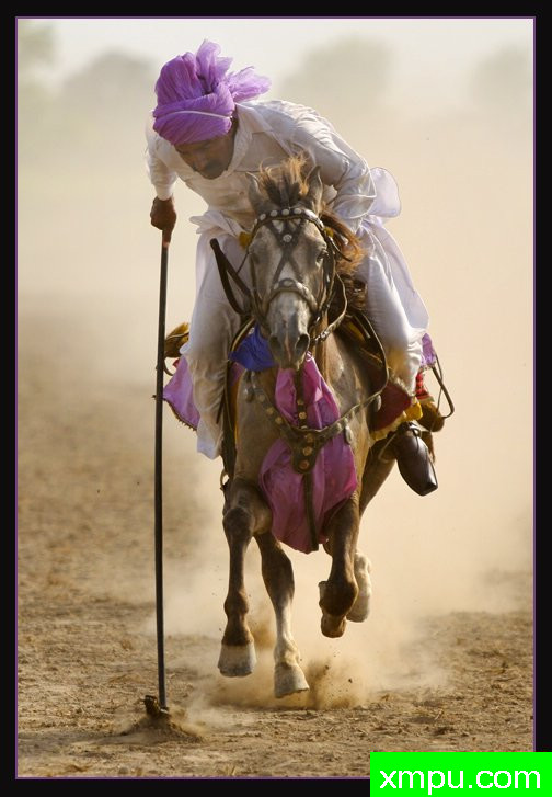 目标---著名摄影师：贾韦德乔拉摄影