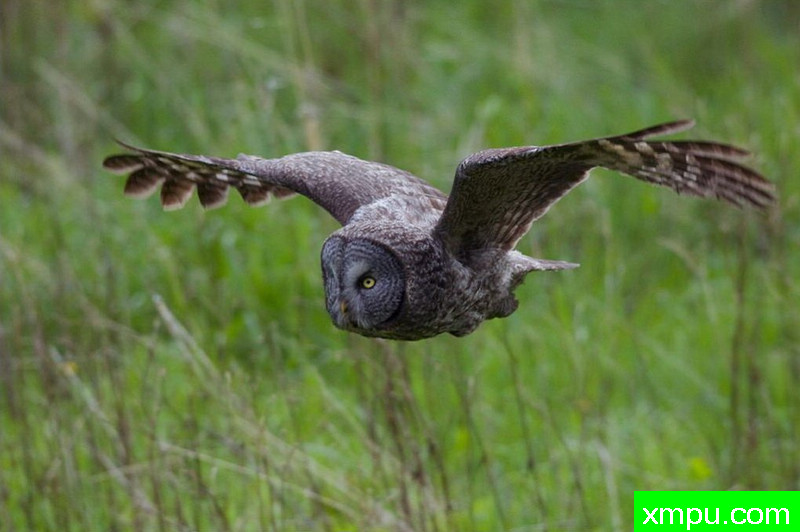 寻找--著名自然摄影师：肯阿彻摄影