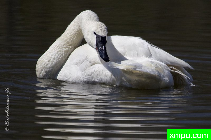 享受阳光--著名摄影师：归厄尔Arboneaux摄影[美国]