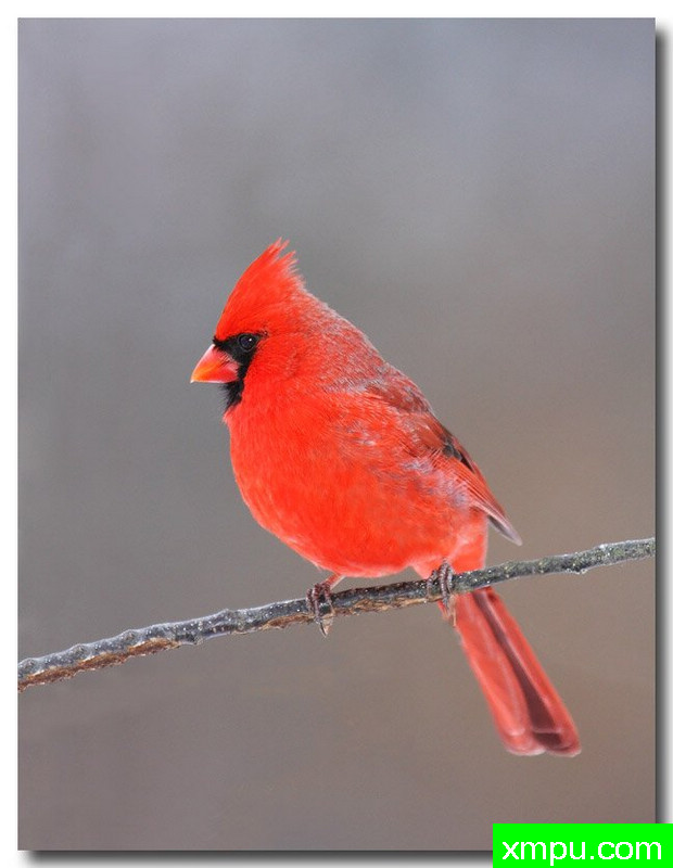 云河----荒野摄影师：安德森摄影