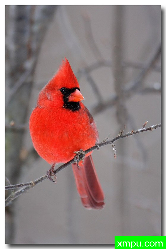 云河----荒野摄影师：安德森摄影