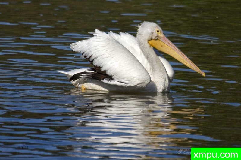 享受阳光 ---著名摄影师：归厄尔Arboneaux摄影[美国]