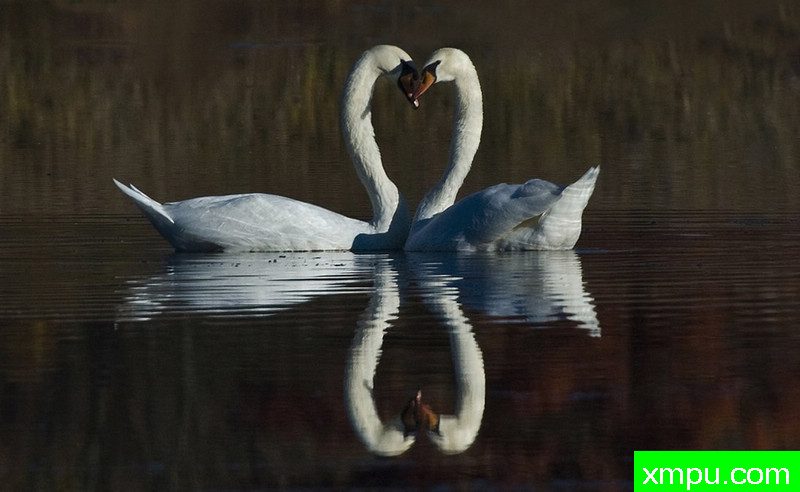 许多壮美的事--摄影师：库马尔帕特尔摄影[美国]