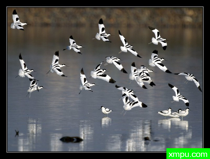 愉快的对比度和纹理[撒丁岛] ---摄影师： Giangiorgio Crisponi