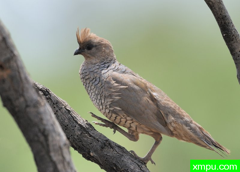 DSC---摄影师：巴里河伯德摄影